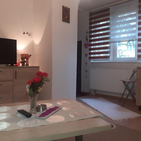 Appartement Ada Apartman à Sarajevo Extérieur photo